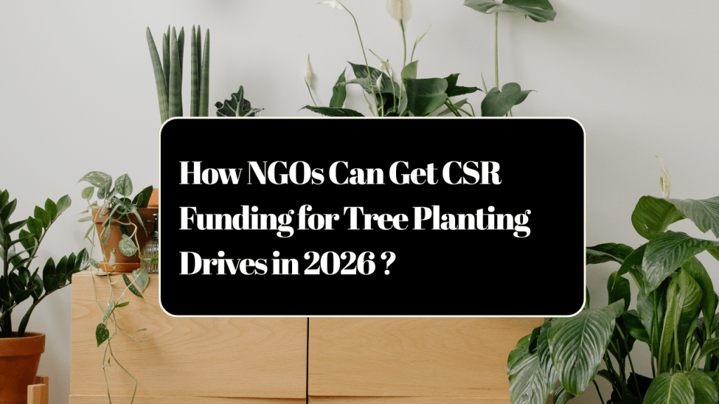 Smart funding turns small efforts massive. Start with pilot projects to build credibility. We grew from local drives to nationwide impact through consistent CSR wins. You can too.