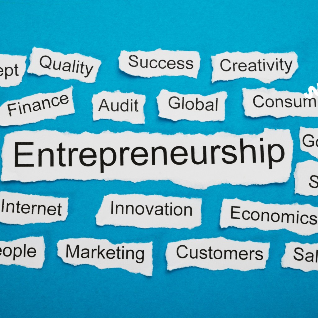 Role of NGO in Entrepreneurship